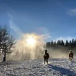 Haslehnerhof *