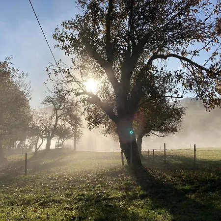Çiftlik konaklama Haslehnerhof Ramsau am Dachstein