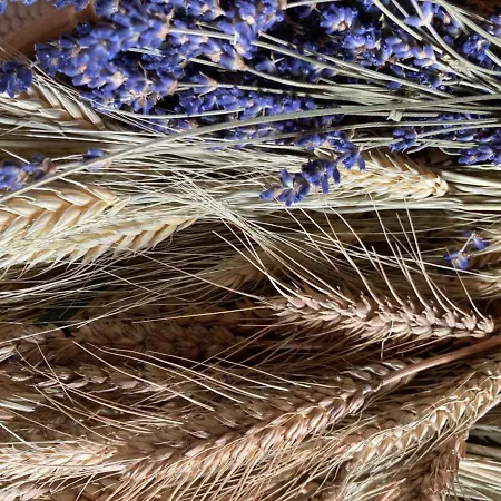 Haslehnerhof Bauernhof Ramsau am Dachstein