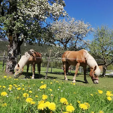 Haslehnerhof Çiftlik konaklama *
