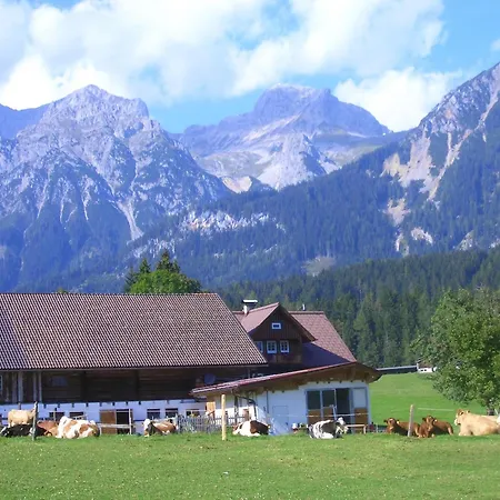 Bauernhof Haslehnerhof *