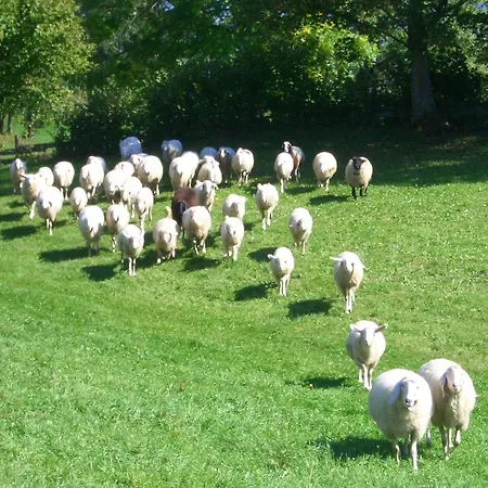 Haslehnerhof Ramsau am Dachstein