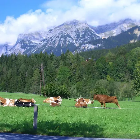 Çiftlik konaklama Haslehnerhof *