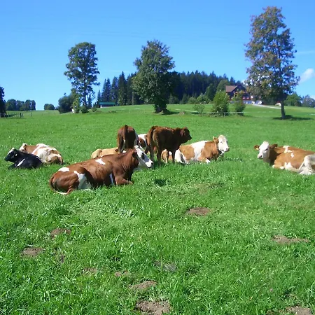 Çiftlik konaklama Haslehnerhof Ramsau am Dachstein