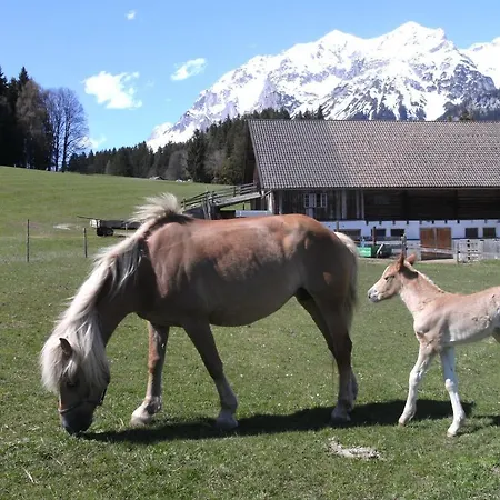 Çiftlik konaklama Haslehnerhof