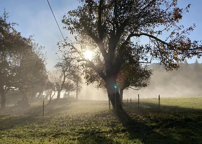 Farm stay Haslehnerhof Ramsau am Dachstein