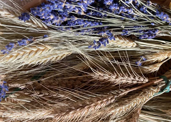 Haslehnerhof Farm stay Ramsau am Dachstein