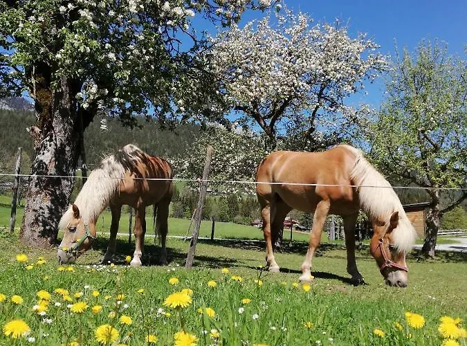 Haslehnerhof Farm stay *