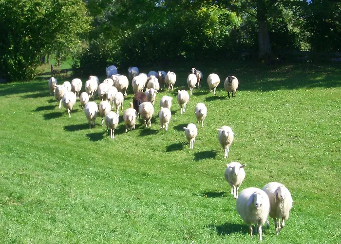 Haslehnerhof Ramsau am Dachstein