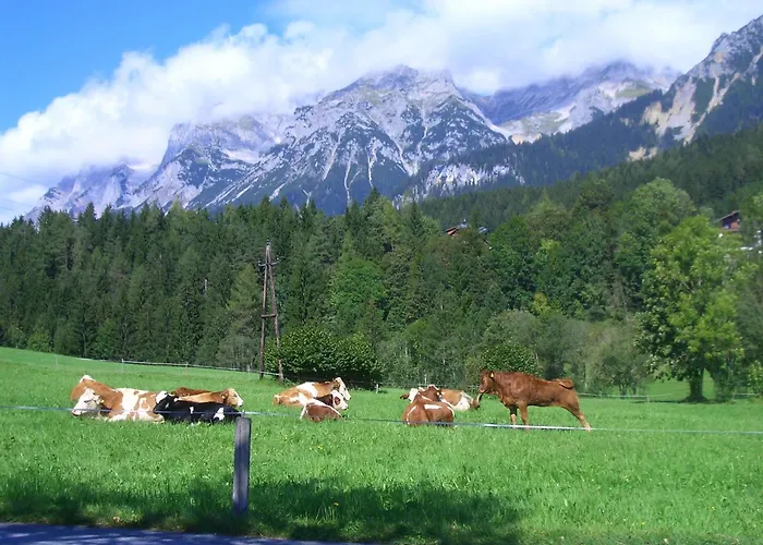 Farm stay Haslehnerhof *