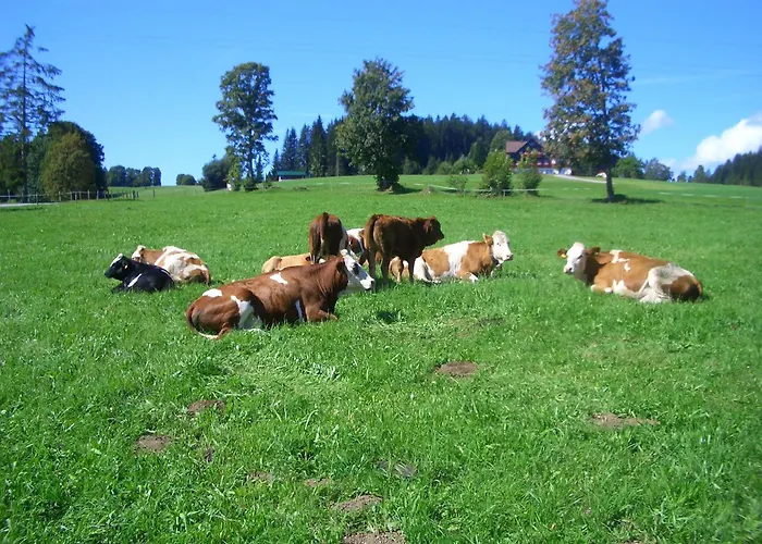 Farm stay Haslehnerhof Ramsau am Dachstein